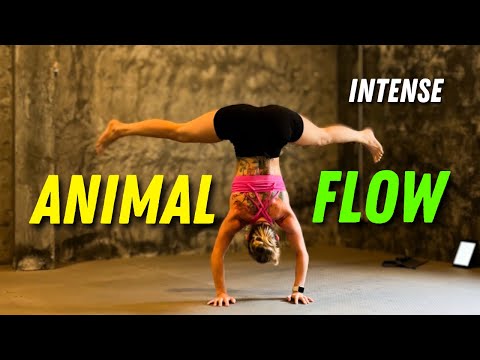20 min Animal Flow HIIT: Advanced Primal Movement Workout - INTENSE:  Let’s Flow!  🐈‍⬛