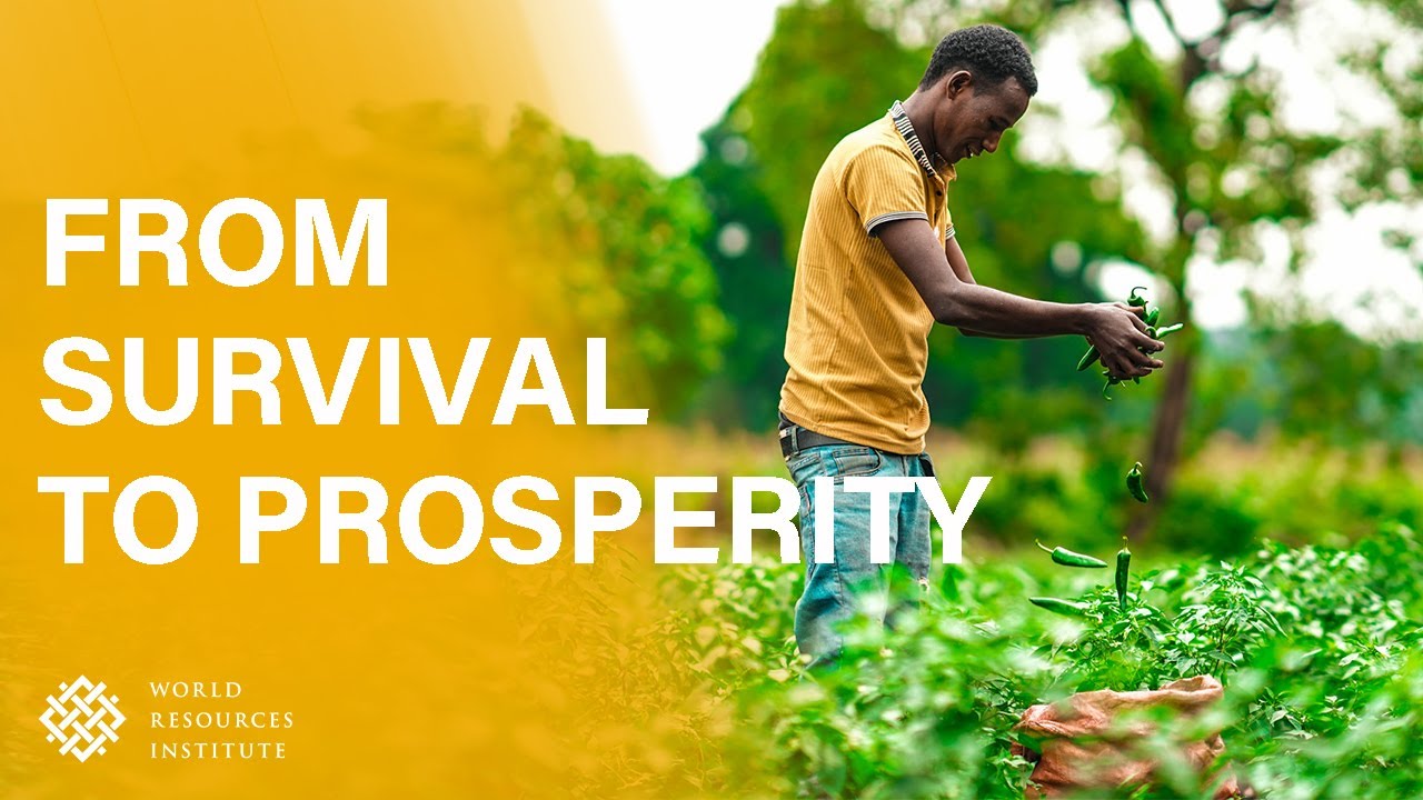 From Survival to Prosperity: How Solar Power is Changing the Lives of Farmers in Berbere, Ethiopia