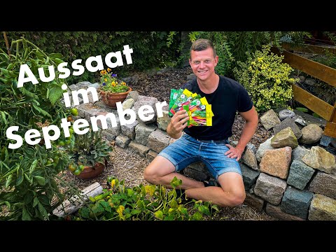 Aussaat im September | diese Gemüsesorten solltest Du im September säen
