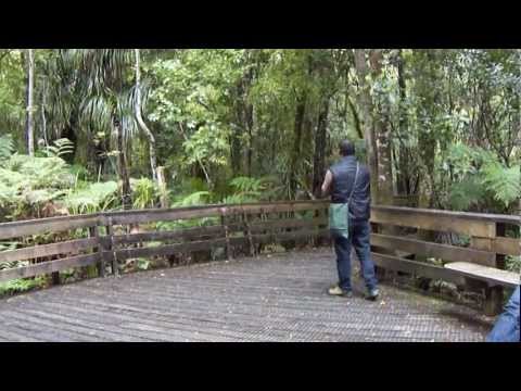 Maori Creation Story