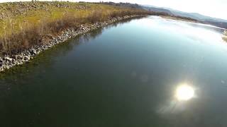 preview picture of video 'Hundreds of steelhead in the Eel River 12th Street Run'