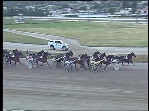 Trotto 16/06/2016 - 8° corsa