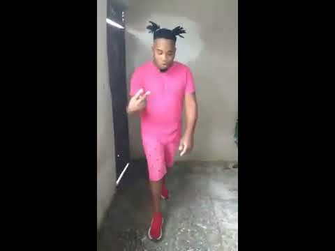 Yacer  el Zorro video numero 2