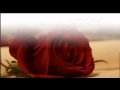 عبدالله الشلالي - قالب الحلوى