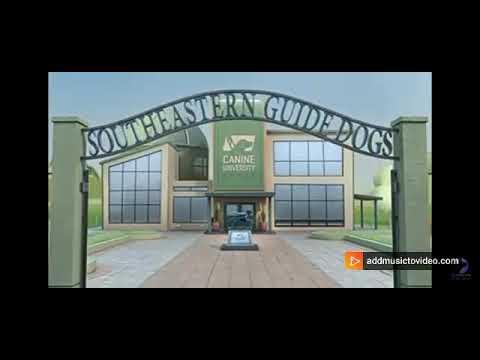 Aasiyana mera hd video song ever launched in youtube about a cute, little & innocent puppy.