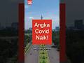 Kilas Balik Pandemi Covid19