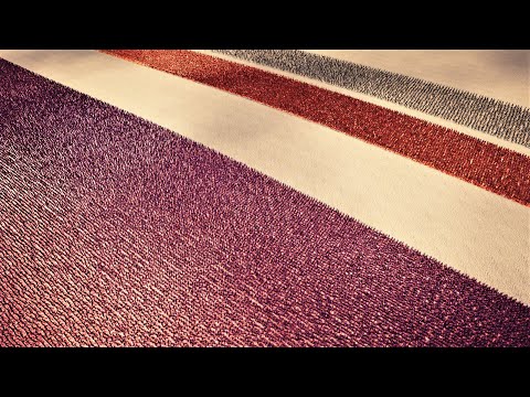 Rome Generals & Archers Vs Orcs | Ultimate Epic Battle Simulator 2 | UEBS2