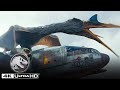 Quetzalcoatlus ataca la llanura de Kayla Watts en 4K HDR | Jurassic World