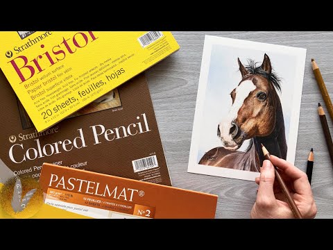 Colored Pencil Paper Guide | Choosing The Best Paper For Wax & Oil Colored Pencils