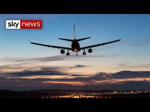 Stowaway falls from plane in London