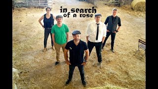 IN SEARCH OF A ROSE - PADDYWHACKERY (Official Video)