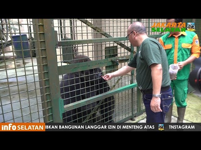 Peringatan Hari Bumi Tahun 2019