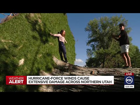 Officials Ask Residents To Delay Clean-Up Until After Second Round Of Storms