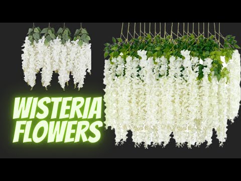 How to make Wisteria fake flower plant 🌱l DIY Wisteria Flower plant l Wisteria plant at home #craft