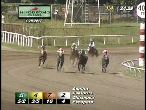 2DA CARRERA DOMINGO 29 DE ENERO 2017 HPR