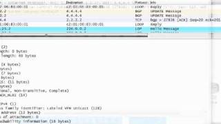 MPLS VPN Label