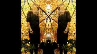 AUSTRA - Beat And The Pulse (Clown Remix)