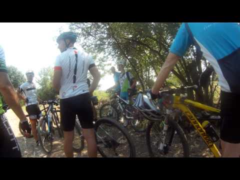 Paulesti Cocosesti padure