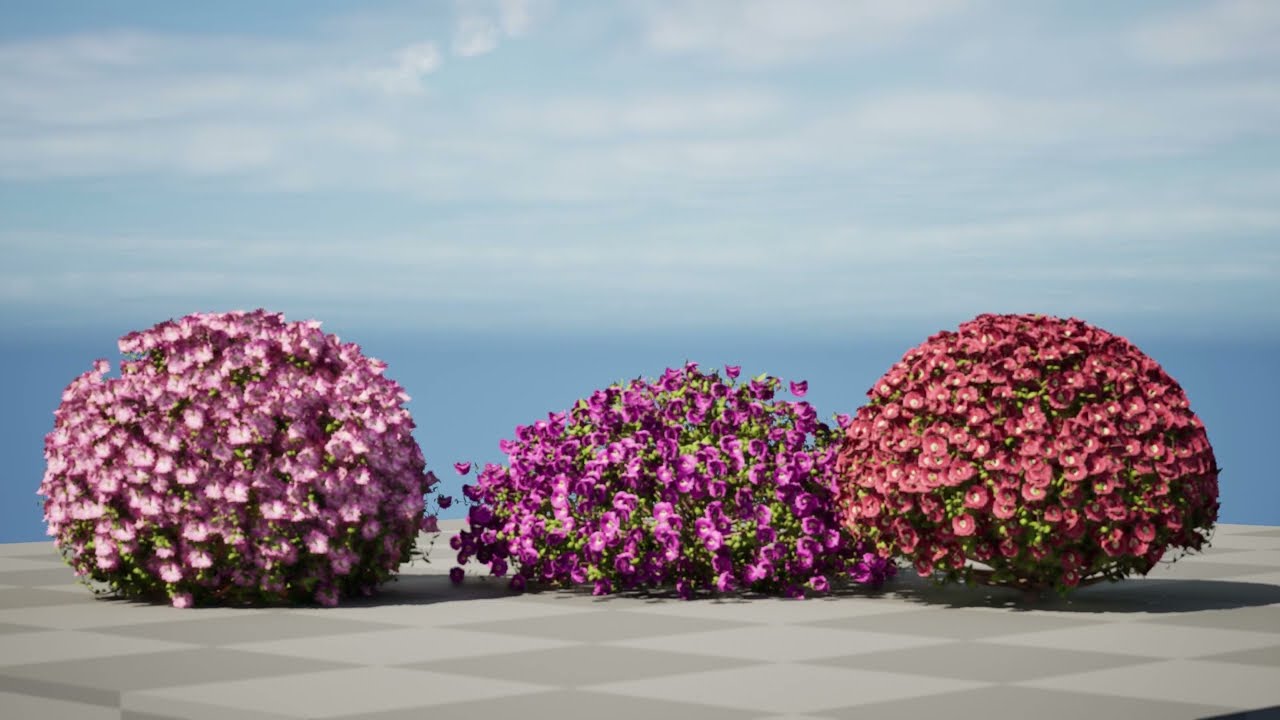 Aster flowering shrubs 3D Model