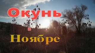 Ссылка