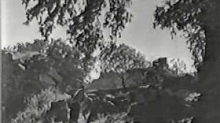 Hyderabad Ki Nazneen - Duniya Mein Jeena Hi Padega II