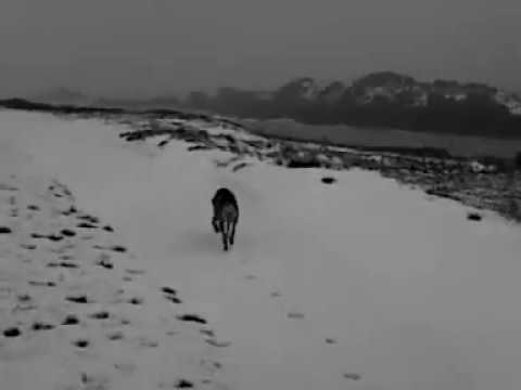 Doom Hk - Meta Physicall Act 1