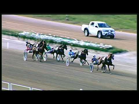 Trotto 11/09/2020 - 5ª corsa