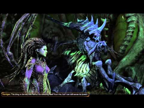 After Hand of Darkness Conversations - Xel'Naga Secrets Achievement - Starcraft 2 Heart of the Swarm