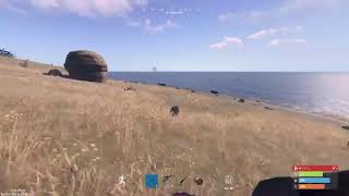 ［PS4］今日はRUSTの気分だで