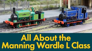 All About the Manning Wardle L Class!