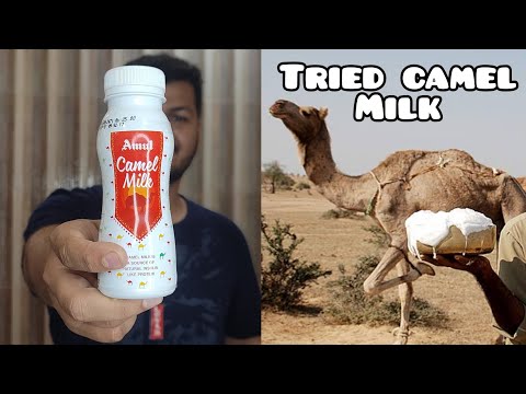 How Camel Milk Tastes? Amul Milk Camel milk Trial | Funniest review ever by Fahim | Yay 👍or Nay👎