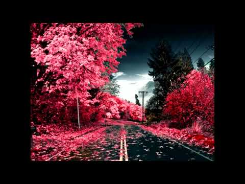 Fraanklyn X Føle - Shades (Sped Up, Reverb + Bass Boosted)