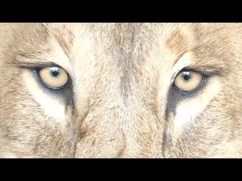 Hardree .Slawek.I.Hardree.It.sMe.