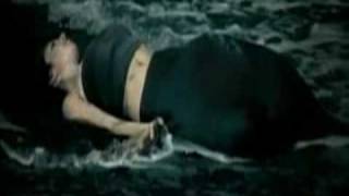 Lost Witness _ 7 Colours