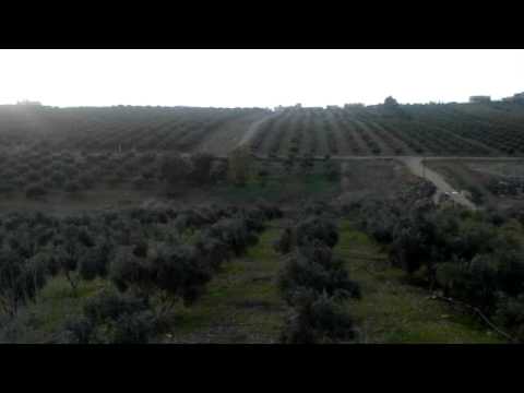 أغنية بعنوان عيني عليها لأحمد القسيم - توزيع جديد