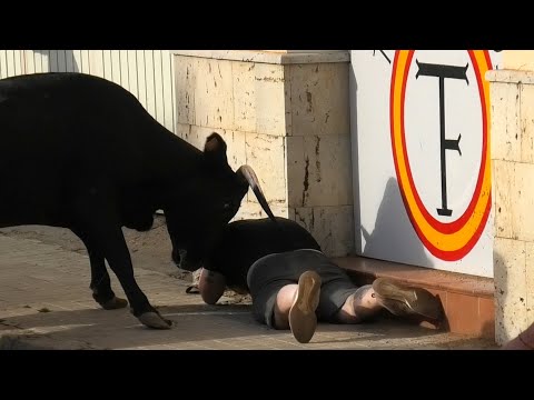 Susto Tras Susto en el Encierro de Villafrechós 2024