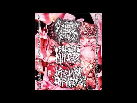 Buffet Froid / Weedeous Mincer / Lacunar Infarction (Full Split)