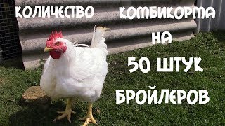 Прикормка подсекайка 0. 8 летняя готовая