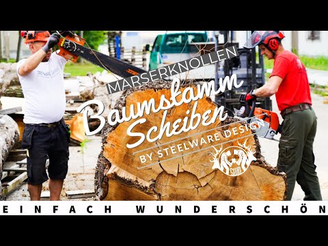 Einzigartige Baumscheibe Ulme Maserknolle