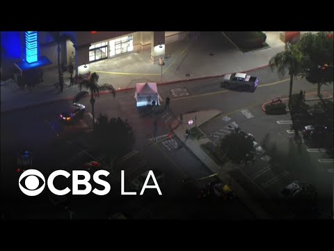 1 killed in shooting at San Fernando Valley shopping center