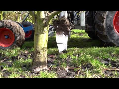 Variabele wortelsnoei voor een egaler gewas (NL ondertiteld)