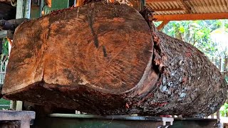 the largest old redwood stump that was surprising when sawed at the sawmill