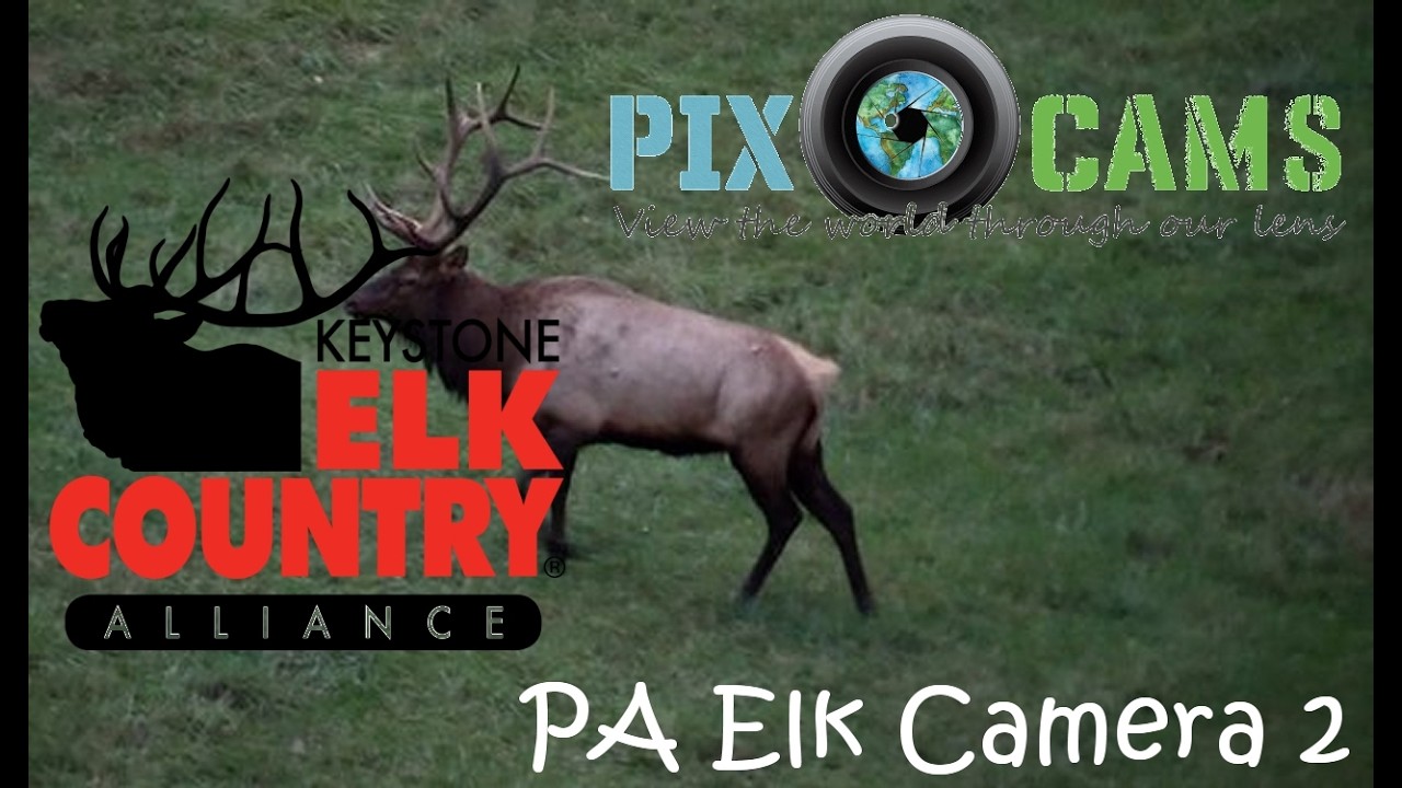 Live webcam view of Elk Country Grassland Cam