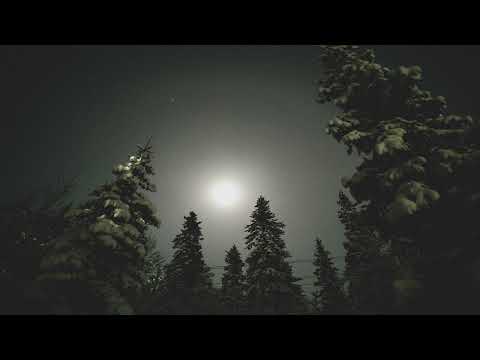 Night Forestm - Ilya Beshevli