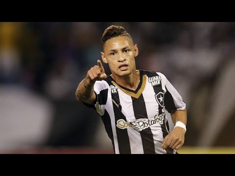 TODOS OS 18 GOLS DE NEILTON PELO BOTAFOGO