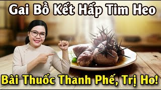 Bí Quyết Cổ Truyền: Tim Heo Cắm Gai Bồ Kết – Bài Thuốc Thanh Phế, Giải Độc, Trị Ho Tuyệt Vời!