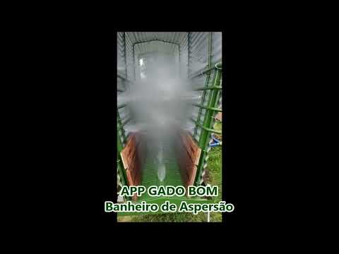 Banheiro de Aspersão