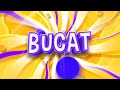 AE INTRO Bucat D