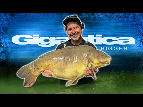 MONSTER-KARPFEN beim GIGANTICA Social 🥳  - Korda Germany rockt den Road Lake!