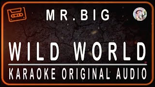 Download lagu MR. BIG - WILD WORLD - KARAOKE ORIGINAL AUDIO mp3 Download lagu MR. BIG - WILD WORLD - KARAOKE ORIGINAL AUDIO mp3